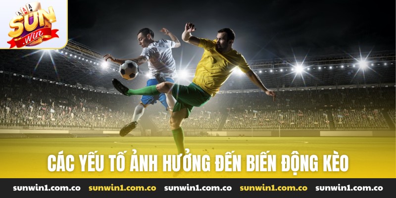 Các yếu tố ảnh hưởng đến biến động kèo