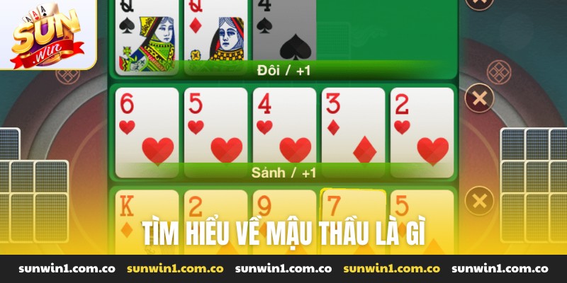 Tìm hiểu về mậu thầu là gì